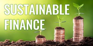Beitragsbild_Andreas_Dolezal_Sustainable_Finance