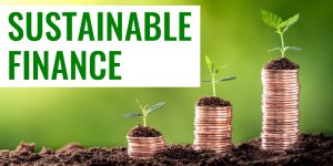 Beitragsbild_Andreas_Dolezal_Sustainable_Finance