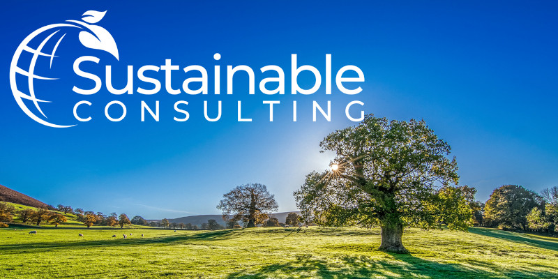 Beitragsbild_Andreas_Dolezal_Sustainable_Consulting