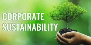 Beitragsbild_Andreas_Dolezal_Corporate_Sustainability