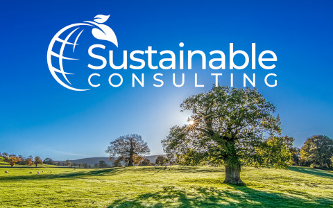 Andreas_Dolezal_Sustainable_Consulting