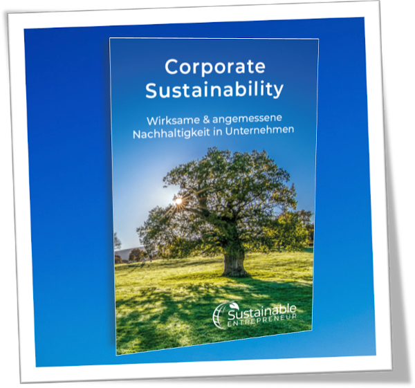 Foto_SE_Corporate_Sustainability_Buch